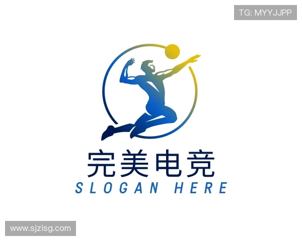 发现完美电竞